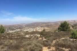 Annexation is Israel's Best Security Solution